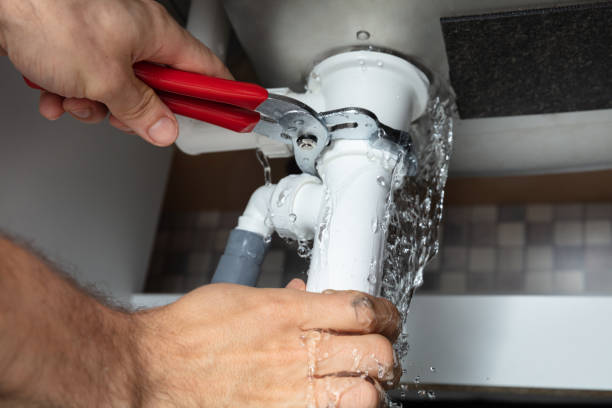 Best Fire Damage Restoration  in South Roxana, IL