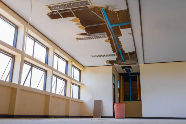 Best Carpet water damage restoration  in South Roxana, IL