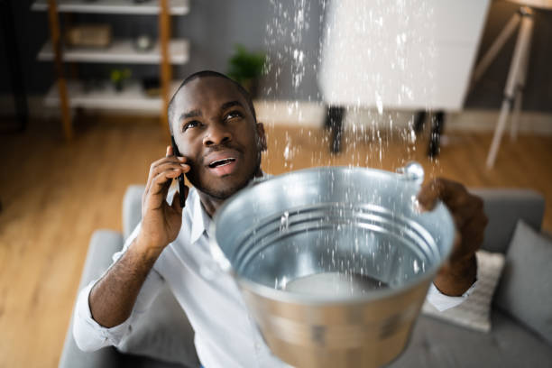 Best Carpet water damage restoration  in South Roxana, IL