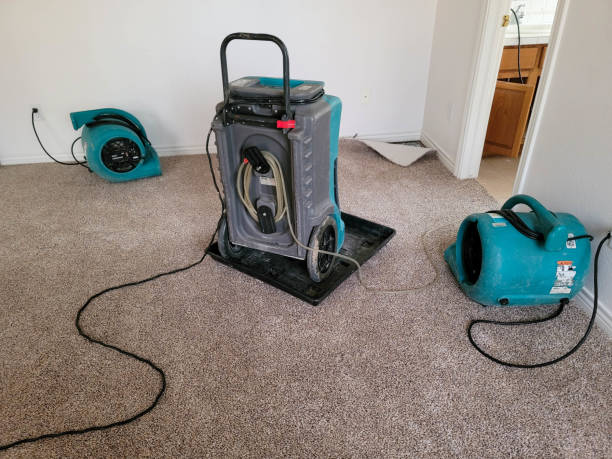 Best Emergency water damage restoration  in South Roxana, IL