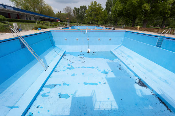 Best Mold removal after water damage  in South Roxana, IL