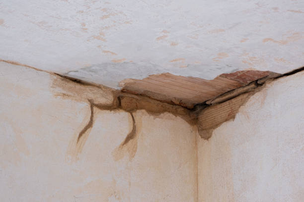 Best Local water damage restoration  in South Roxana, IL
