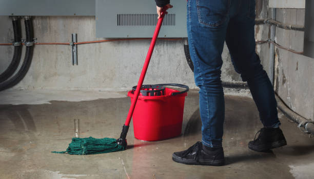 Best Flooded house restoration  in South Roxana, IL