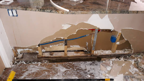Best Basement water damage restoration  in South Roxana, IL