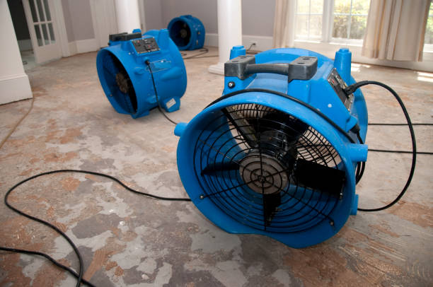 Fire Damage Restoration in IL