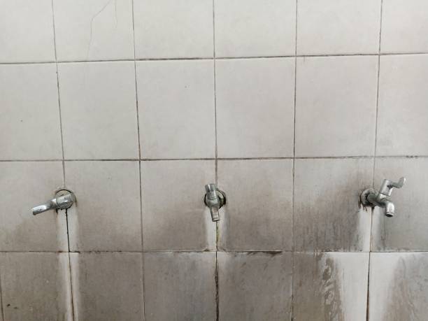 Best Water damage restoration near me  in South Roxana, IL