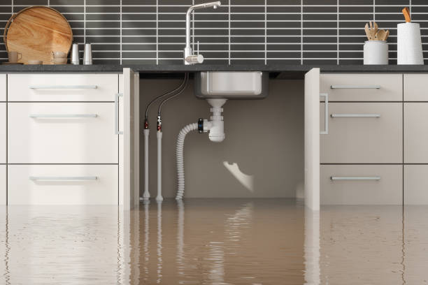 Best 24/7 water damage repair  in South Roxana, IL
